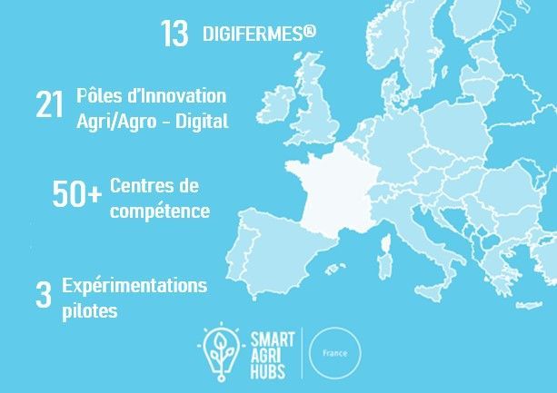 Agrandissement de l'image