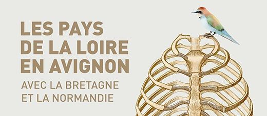 Agrandissement de l'image