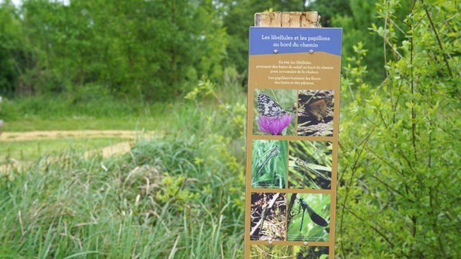 Panneau explicatif dans une réserve naturelle régionale avec végétation autout